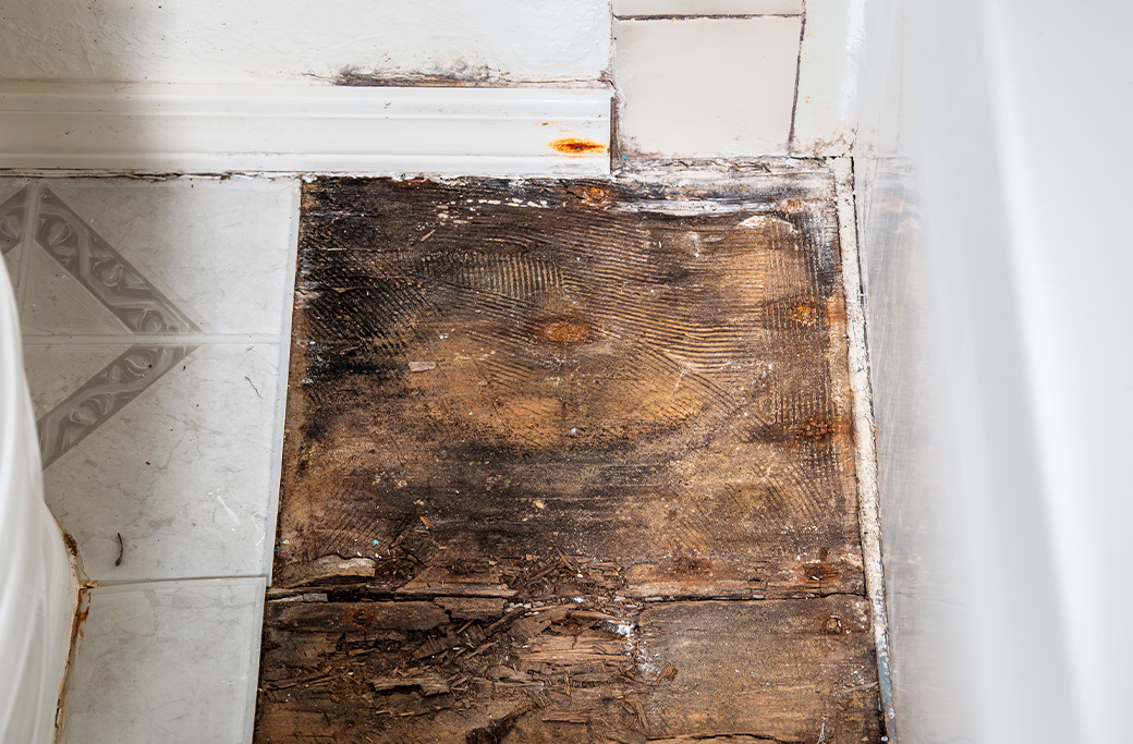 Hidden water damage discovered during a Rhode Island bathroom remodel